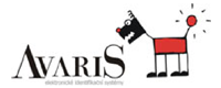 Lolo AVARIS